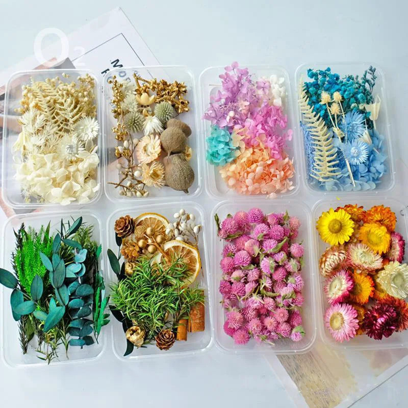 1box Natural Dried Flowers