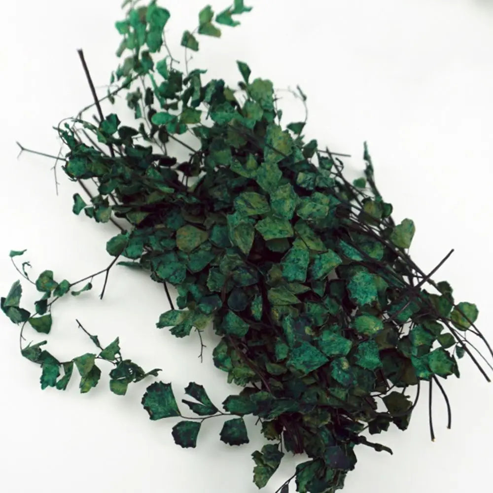 1 Box Micro Rattan Leaves